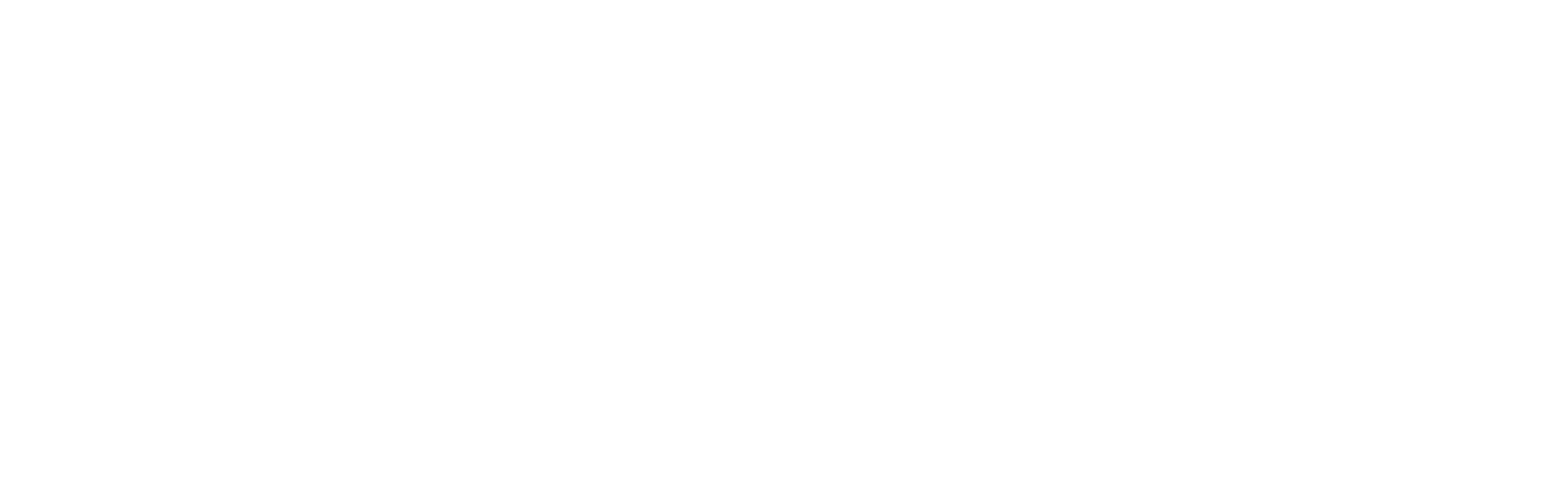 Haupt & Fouché